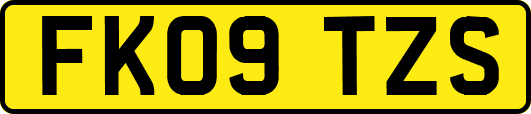 FK09TZS