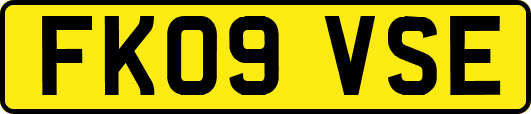 FK09VSE