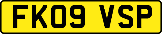 FK09VSP