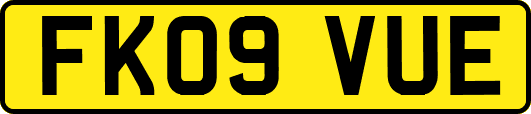 FK09VUE