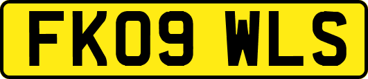 FK09WLS