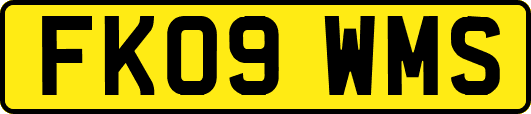 FK09WMS