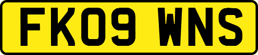 FK09WNS