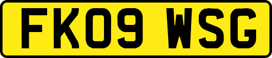 FK09WSG