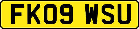 FK09WSU