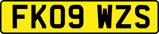 FK09WZS
