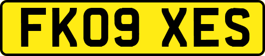 FK09XES