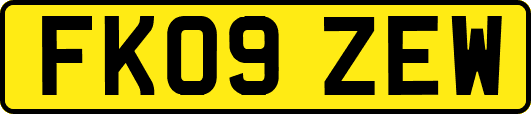 FK09ZEW