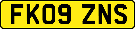 FK09ZNS