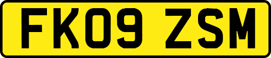 FK09ZSM
