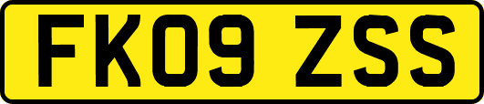 FK09ZSS
