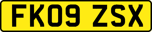 FK09ZSX