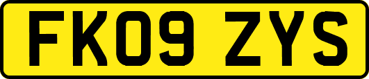 FK09ZYS