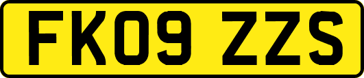 FK09ZZS