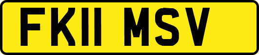 FK11MSV
