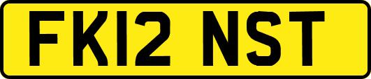 FK12NST