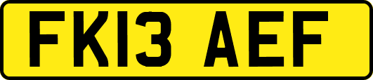 FK13AEF