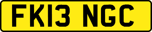 FK13NGC