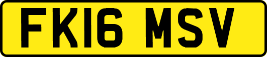 FK16MSV