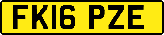 FK16PZE