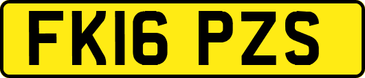 FK16PZS