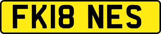 FK18NES