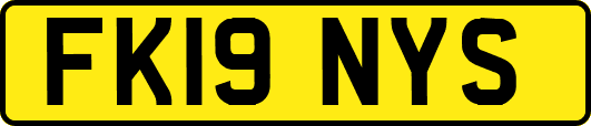 FK19NYS