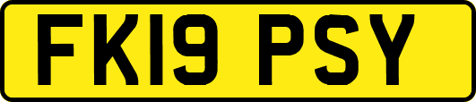 FK19PSY