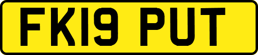 FK19PUT