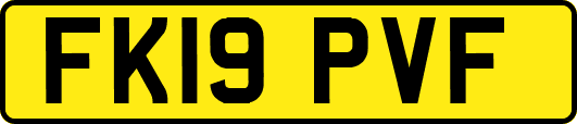 FK19PVF