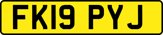 FK19PYJ