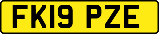 FK19PZE