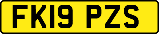 FK19PZS