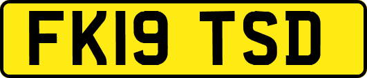 FK19TSD