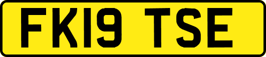 FK19TSE