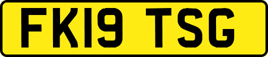 FK19TSG