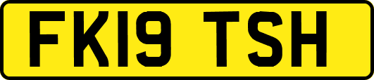 FK19TSH