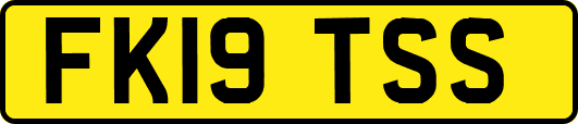 FK19TSS