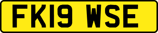 FK19WSE