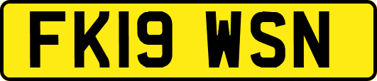 FK19WSN