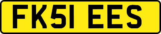 FK51EES