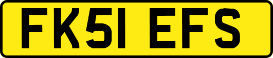 FK51EFS