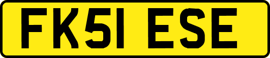 FK51ESE