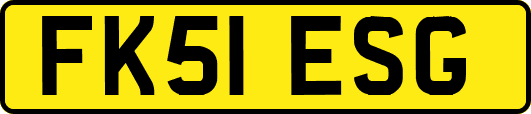 FK51ESG