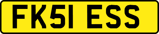 FK51ESS