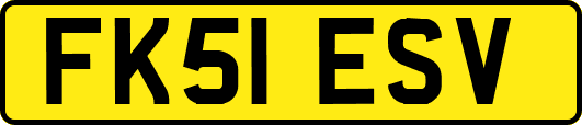 FK51ESV