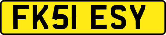 FK51ESY