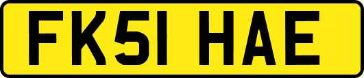 FK51HAE