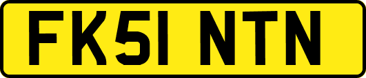 FK51NTN
