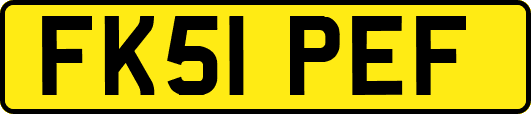FK51PEF